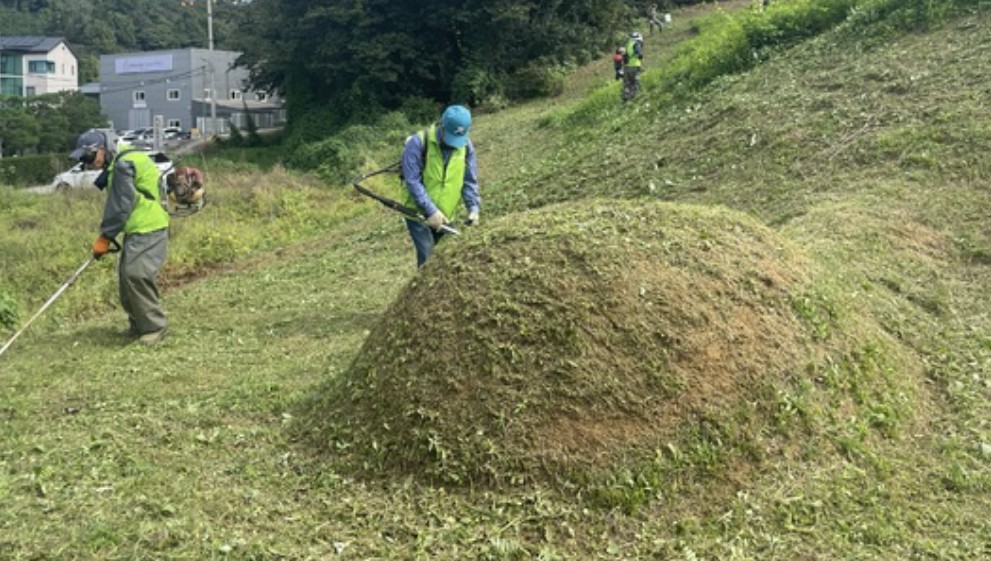 벌초 대행 작업 안내